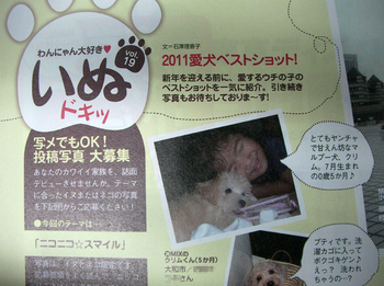 20111222　横浜ｳｫｰｶｰ愛犬ﾍﾞｽﾄｼｮｯﾄ 002.jpg