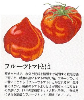フルーツトマトとは.jpg